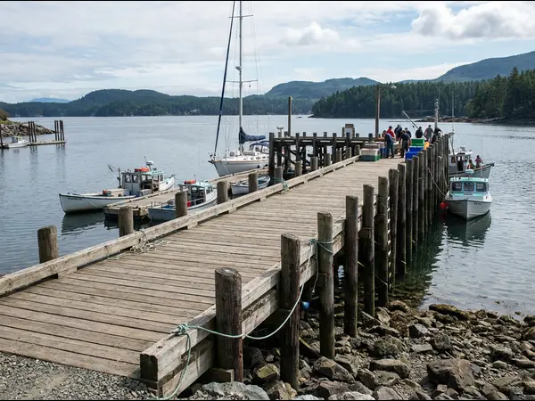 dock