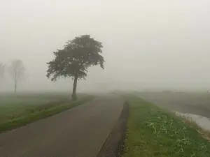 hazy