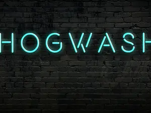 hogwash