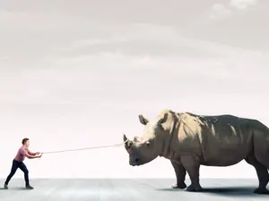 tame